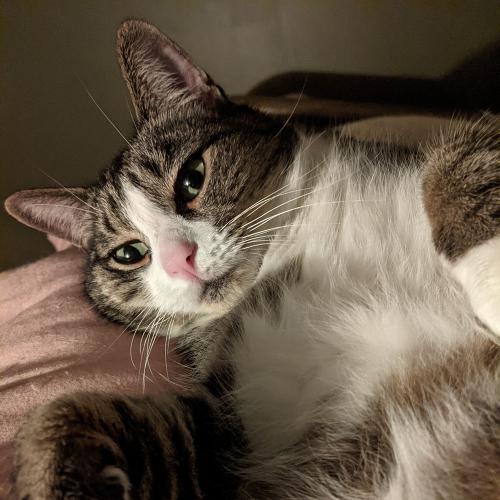 Sabine